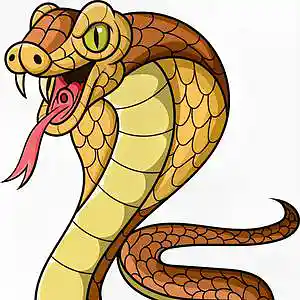Picture for song 'The Snake.mp3' by artist 'DJ TASHA (UK)'