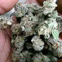 Picture for song 'Miss Mary Mary Prod By FloatDaGhost' by artist 'FloatDaGhost'