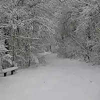 Picture for song 'no rest pt1' by artist 'MayoBeats.com'