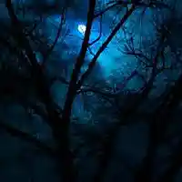 Picture for song 'Go Out Dark Part 2 (Rap Beat)' by artist 'Mozart Jones Productions (Mozarts Beats)'