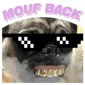 Picture for song 'MOUF BACK' by artist 'PESbeatstore'