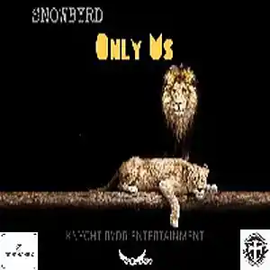Picture for song 'ONLY US' by artist 'Snowbyrd'