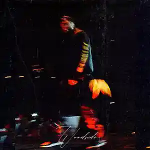 Picture for song 'Woodside - Talking of High' by artist 'Woodside Beatz'