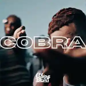 Picture for song 'COBRA' by artist 'Chipz On The Beat'