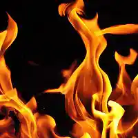 Picture for song 'Flamez **BANGER**/FREEDL' by artist 'Exclusive Music Producer'
