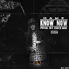 Picture for song 'Know Now Prod By Juice 808' by artist 'Hamz'