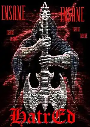 Picture for song '-Paranoid_(Black_Sabbath_Cover)' by artist 'insane hatred'