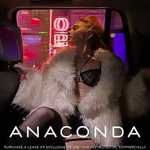 Picture for song 'Anaconda' by artist 'iden'