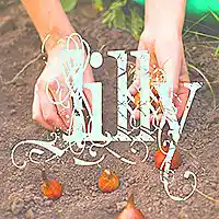 Picture for song 'Lilly' by artist 'Jenelle'