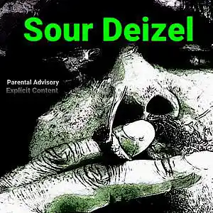 Picture for song 'SOUR DEIZEL' by artist 'Timz Rocka'