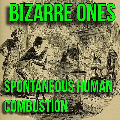 Picture for song 'Spontaneous Human Combustion' by artist 'Bizarre Ones Studios'
