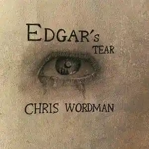 Picture for song 'Beyond the dawn (instrumental)' by artist 'Chris Wordman'
