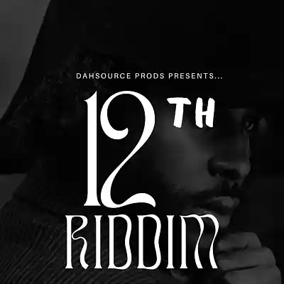 Picture for song '12th Riddim' by artist 'DahSource'
