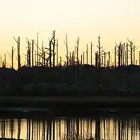 Picture for song 'thursdays song' by artist 'dave musselman'