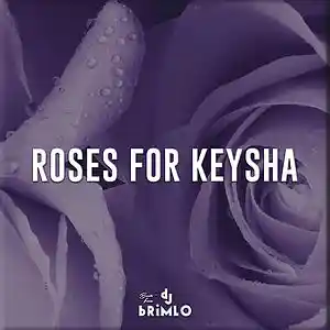 Picture for song 'Roses For Keysha (Buy 1 Get 1)' by artist 'DJ brimLo'