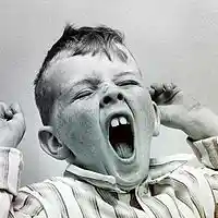 Picture for song 'Wake up 2017' by artist 'Hardheaded'