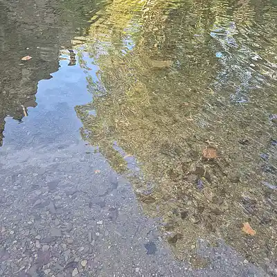 Picture for song 'Raindrop Symphonies' by artist 'Jason Bibee'