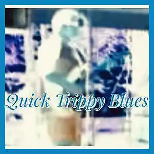 Picture for song 'Quick Trippy blues' by artist 'Ken Sacco'