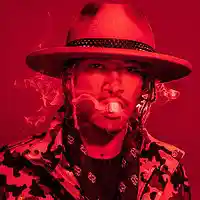 Picture for song '$avage' by artist 'Kid Flash'