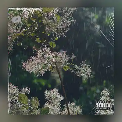 Picture for song '"2PM Summer Rain" - Chill lofi boom bap beat' by artist 'Matt Shi'