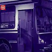 cover pic