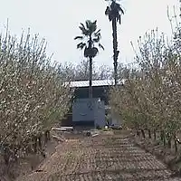 Picture for song 'Ay' by artist 'RESIDENT ACID'