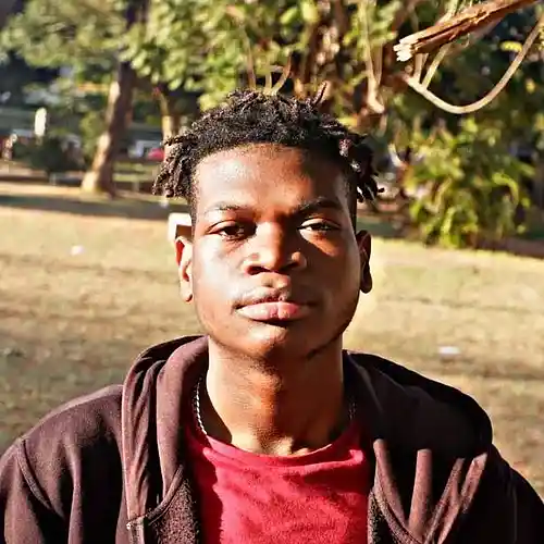 Artist picture