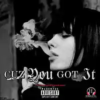 Picture for song 'Clepto - Cuz You got It prod by Steve Woodz' by artist 'Steve Woodz'