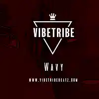 Picture for song '*NEW* Wavy (BUY 1 GET 1 FREE!)' by artist 'VibeTribeBeatz'