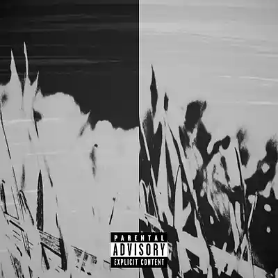 Picture for song 'TALL GRASS' by artist '100Music'