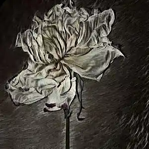 Picture for song 'Mr. Cut Throat' by artist 'Universal Momma Bear'
