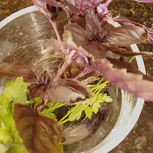 Picture for song '1st Day of Autumn' by artist 'Rawthentic314'