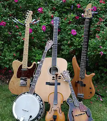 Picture for song 'Disk 2 - Track 1: "Music"' by artist 'tunein'