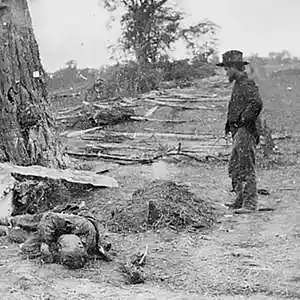 Picture for song 'Dark Days' by artist 'Wade Farlowe'