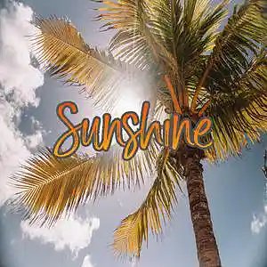 Picture for song 'Sunshine' by artist 'Anac On The Beat'