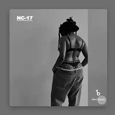 Picture for song 'Tems x wizkid Type Beat "Essence"' by artist 'Dredbeat'