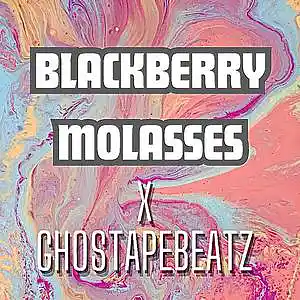 Picture for song 'BLACKBERRY MOLASSES X GHOSTAPEBEATZ' by artist 'Ghostapebeatz'