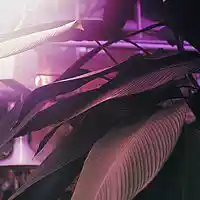 Picture for song '*NEW* Sincerely (FREE DL)' by artist 'Lil Sammy Beats'