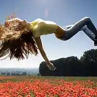 Picture for song 'let it go' by artist 'missing furniture'