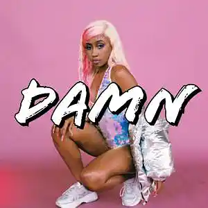 Picture for song 'DAMN (BUY 1 GET 3 FREE)' by artist 'PINK MOLLY BEATZ'