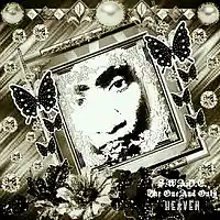 Picture for song 'HEAVEN' by artist 'S.W.A.D.E. (THE ONE AND ONLY)'
