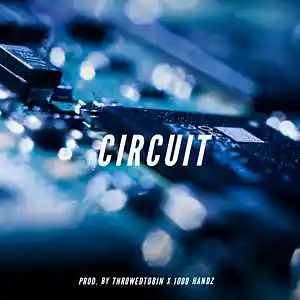 Picture for song 'Circuit - Hard Melodic Future Type Beat 140bpm' by artist '1000 Handz'