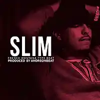 Picture for song 'Slim' by artist 'AndreOnBeat'