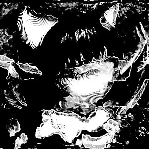 cover pic