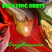 Picture for song 'I Worship A Chicken Bone(forget your beliefs)' by artist 'Decaying Orbit'