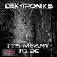 Picture for song 'It's Meant To Be' by artist 'Dek-Troniks'