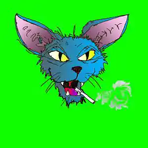 Picture for song 'frever' by artist 'Who're(tm)'