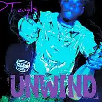 Picture for song 'Unwind Clean' by artist 'DTayls'