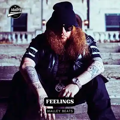 Picture for song 'FEELINGS - [RITTZ x TECH N9NE GUITAR TYPE BEAT]' by artist 'Malley Beats'