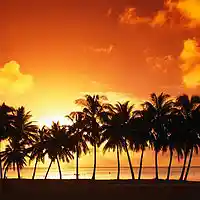 Picture for song 'spectral motion' by artist 'Novatropic'